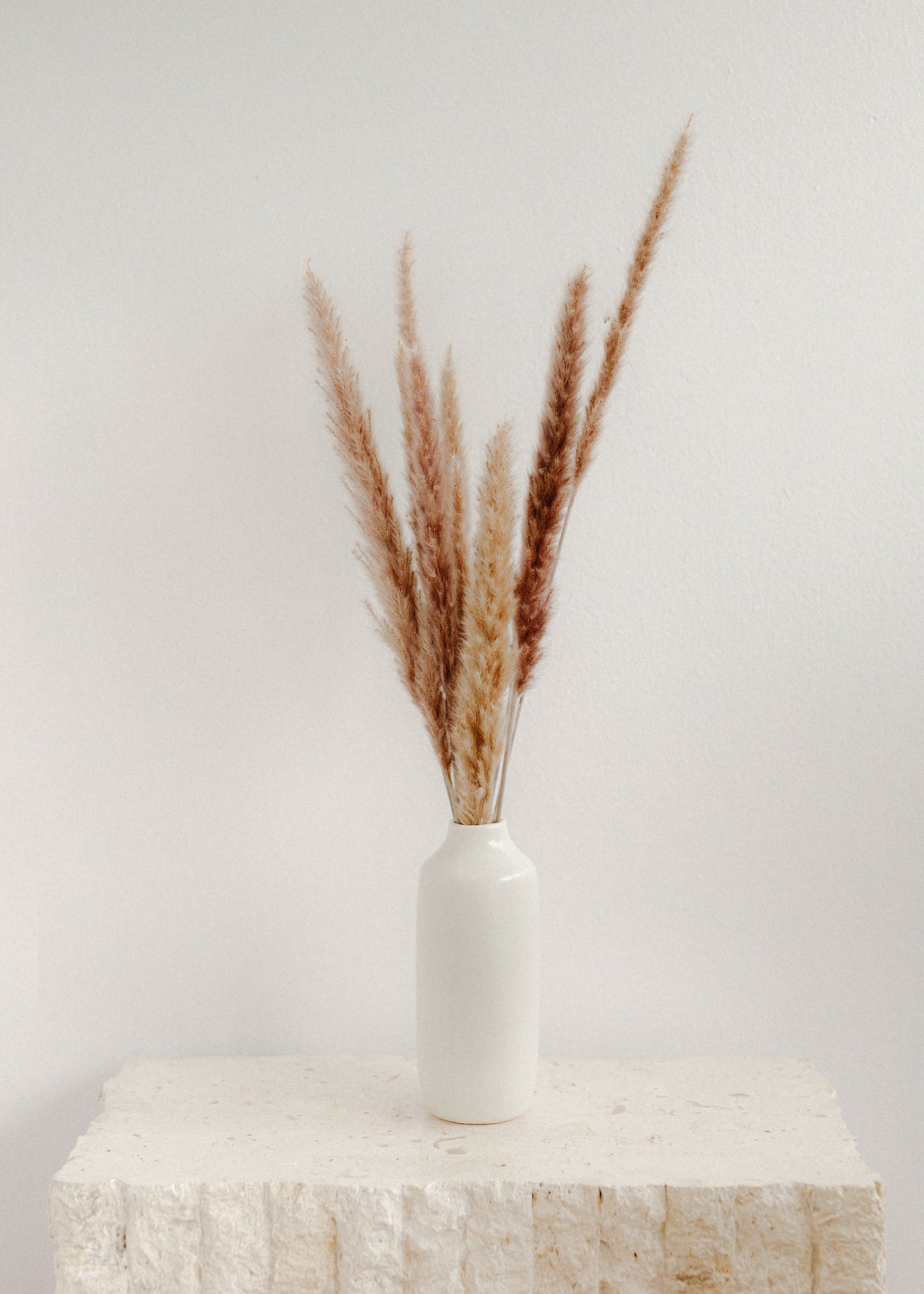 Natural Mini Pampas