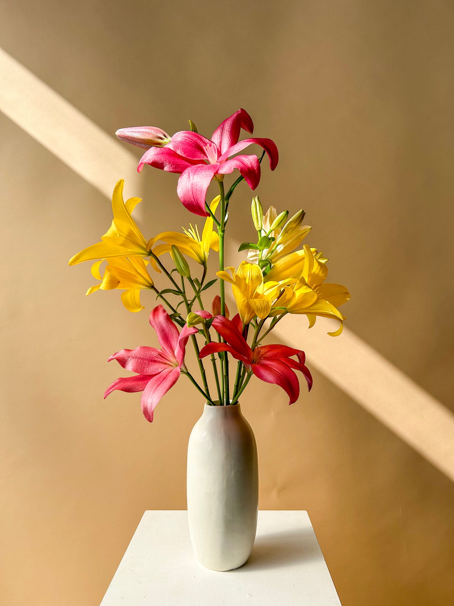 Lily Bunch