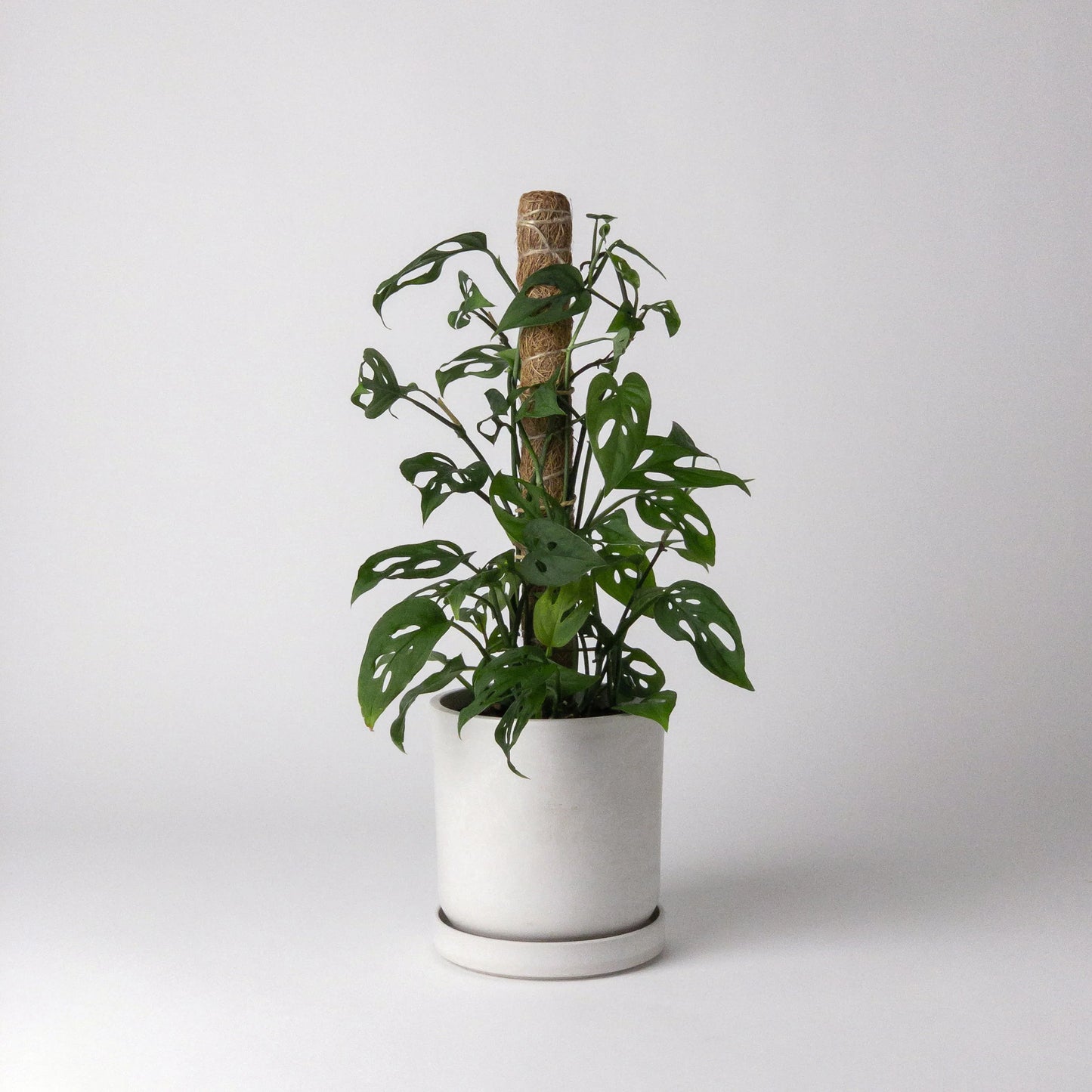KANSO Coco Coir Poles