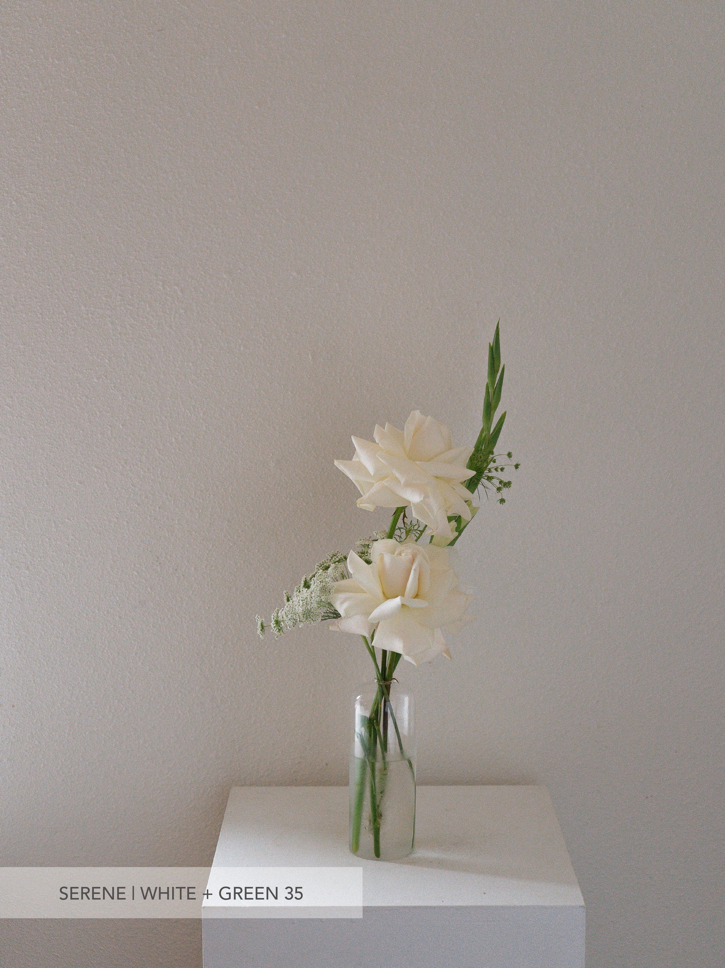 Glass Bud Vase