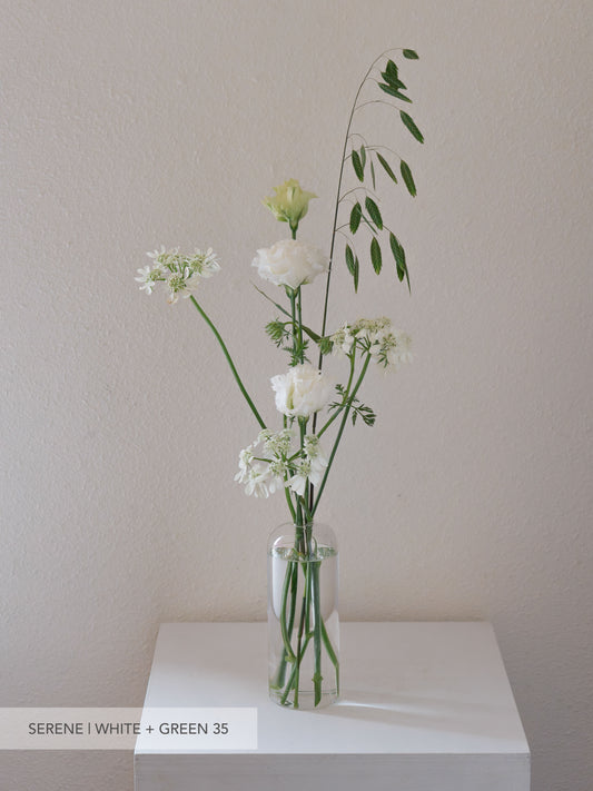 Glass Bud Vase