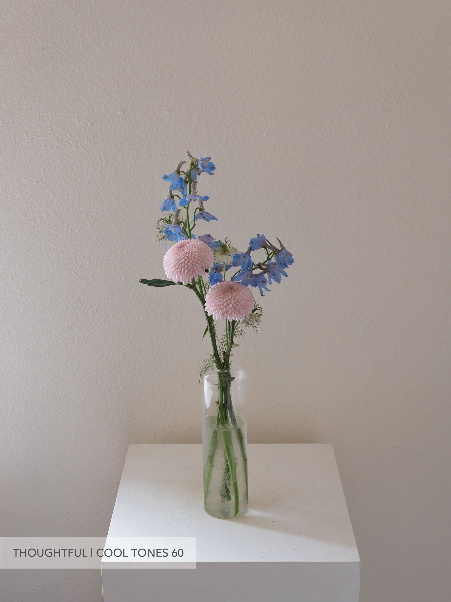 Glass Bud Vase