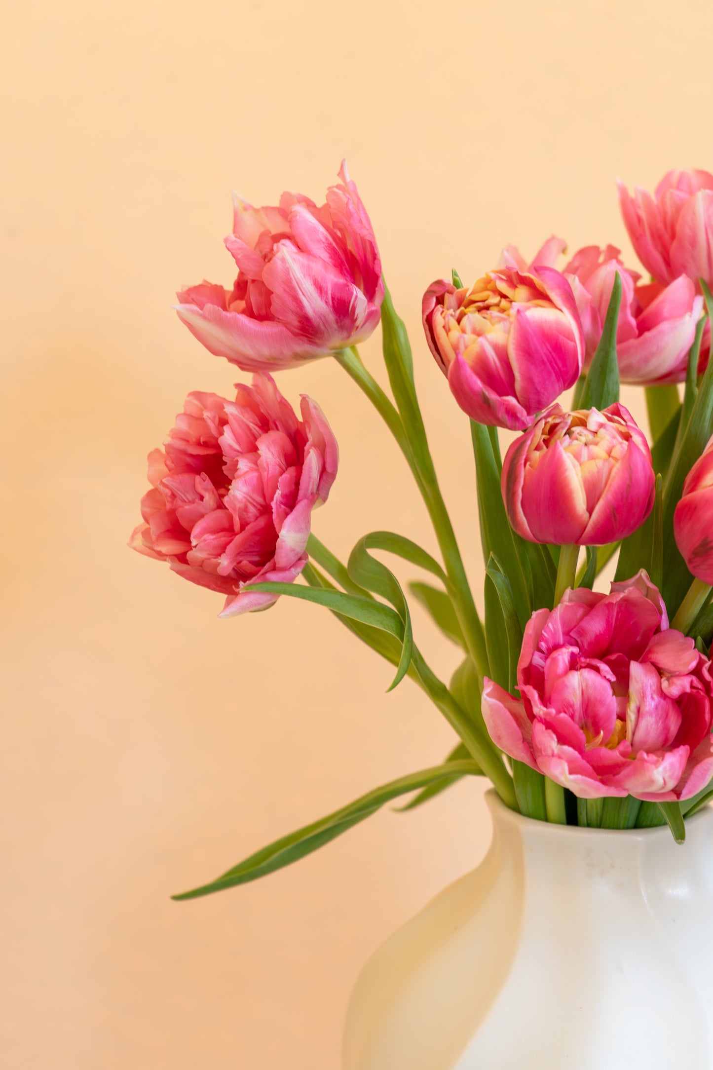 Mother's Day Seasonal Tulip Bundle