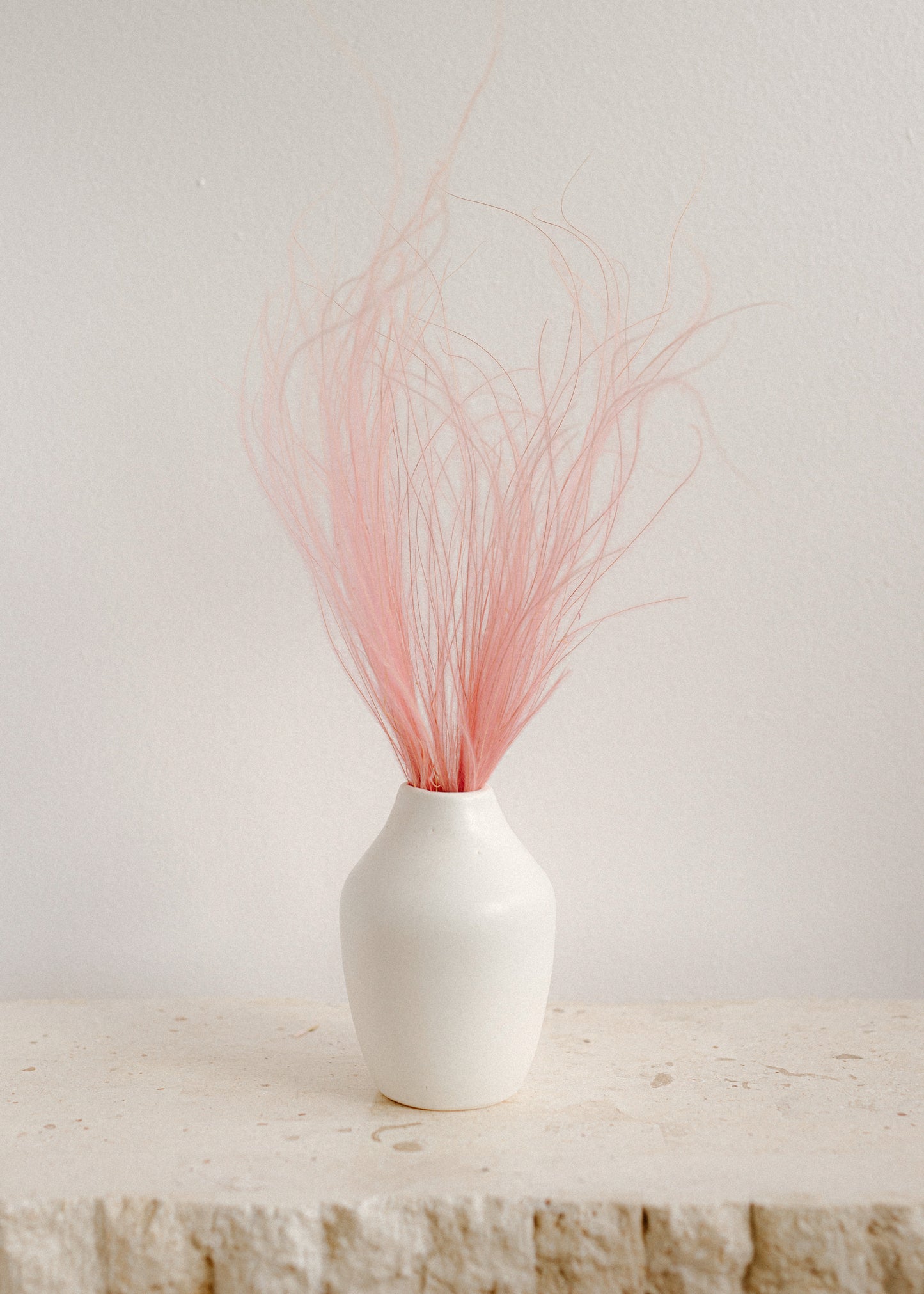 Pink Stypha