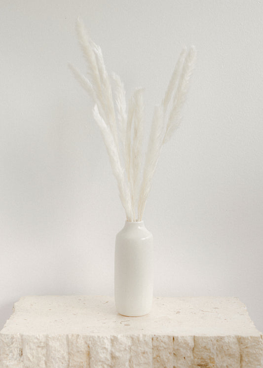 White Mini Pampas
